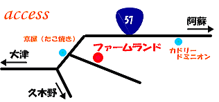 �A�N�Z�X