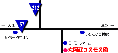 �A�N�Z�X